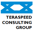 Teraspeed Consulting Group LLC